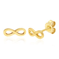 Orecchini in argento