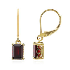 Orecchini in argento con Granato
