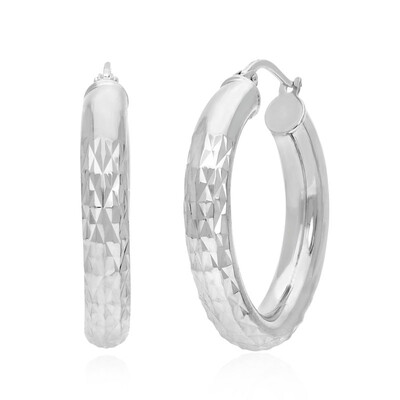 Orecchini in argento