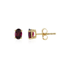 Orecchini in argento con Rodolite Lampone
