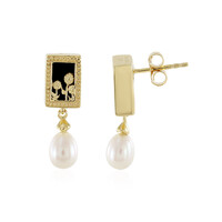 Orecchini in argento con Onice Nero
