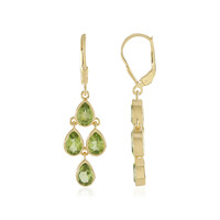 Orecchini in argento con Peridoto