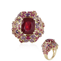 Anello in oro con Rubino del Madagascar (D'vyere)