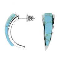 Orecchini in argento con Turchese