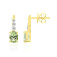 Orecchini in oro con Tsavorite del Kenya (Tenner Diniz)