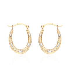 Orecchini in oro