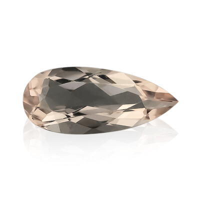 Gemma con Morganite Pesca