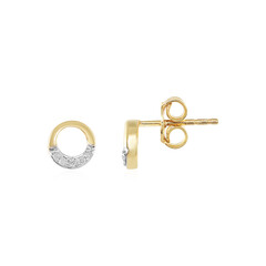 Orecchini in argento con Diamante I2 (I)