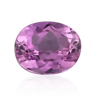 Gemma con Kunzite Patroke