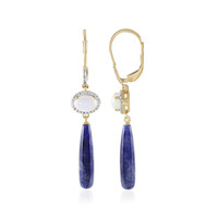 Orecchini in argento con Sodalite