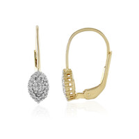 Orecchini in argento con Diamante I2 (I)
