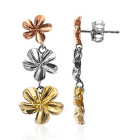 Orecchini in argento