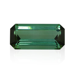 Gemma con Tormalina Verde