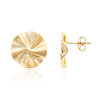 Orecchini in argento