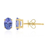 Orecchini in oro con Tanzanite AAA (CIRARI)