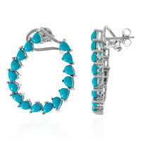 Orecchini in argento con Turchese Sleeping Beauty