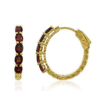 Orecchini in argento con Granato