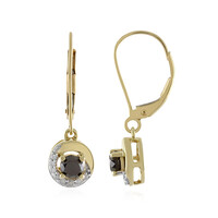 Orecchini in oro con Diamante Nero