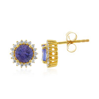 Orecchini in argento con Tanzanite