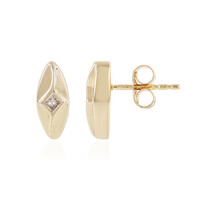 Orecchini in argento con Diamante Cioccolato I2