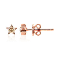 Orecchini in oro con Diamante Rose de France SI1 di Argyle