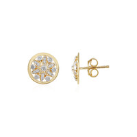 Orecchini in argento con Diamante I2 (I)