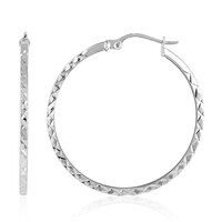 Orecchini in argento