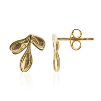 Orecchini in argento