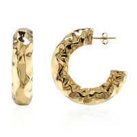 Orecchini in argento