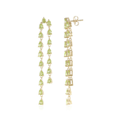Orecchini in argento con Peridoto
