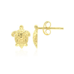 Orecchini in argento