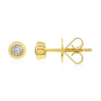 Orecchini in oro con Diamante VVS1 (E) (adamantes [!])