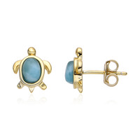 Orecchini in argento con Larimar