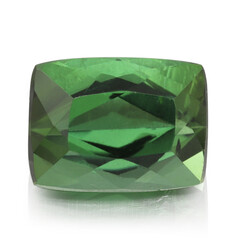 Gemma con Tormalina Verde