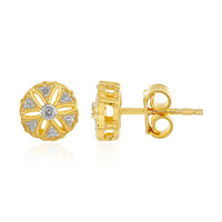 Orecchini in argento con Diamante I2 (I)
