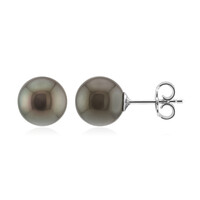 Orecchini in argento con Perla Tahitiana (TPC)
