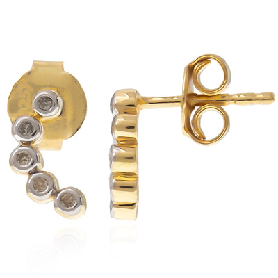 Orecchini in argento con Diamante I2 (I)