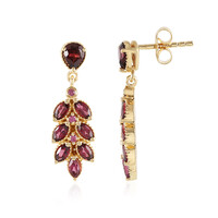 Orecchini in argento con Rodolite