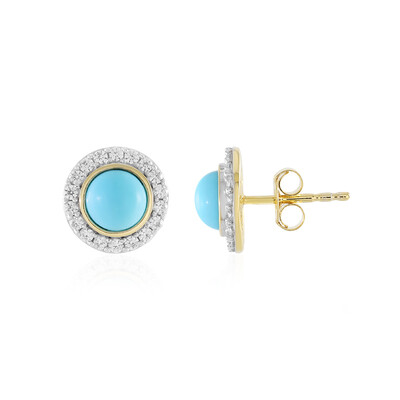 Orecchini in argento con Turchese Sleeping Beauty