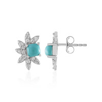 Orecchini in argento con Turchese Sleeping Beauty