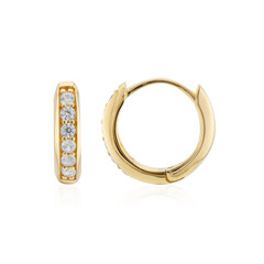 Orecchini in argento con Zircone