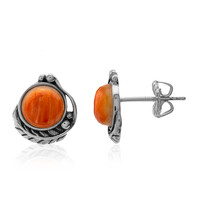 Orecchini in argento con Conchiglia di Ostrica Spinosa Arancione (Desert Chic)