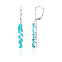 Orecchini in argento con Turchese Sleeping Beauty