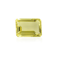 Gemma con Quarzo Ouro Verde