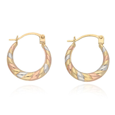 Orecchini in oro