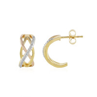 Orecchini in argento con Diamante I3 (J)