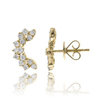 Orecchini in oro con Diamante I1 (H) (CIRARI)