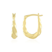 Orecchini in argento