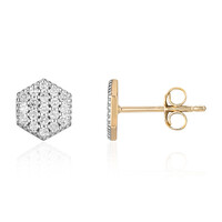 Orecchini in oro con Diamante I3 (I)