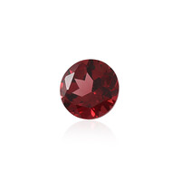 Gemma con Granato Mozambico 0,901 ct